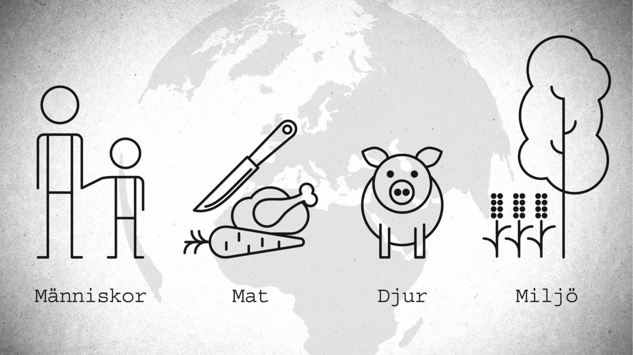 Grafik från Skydda antibiotika-filmen: Människor, mat, djur och miljö.
