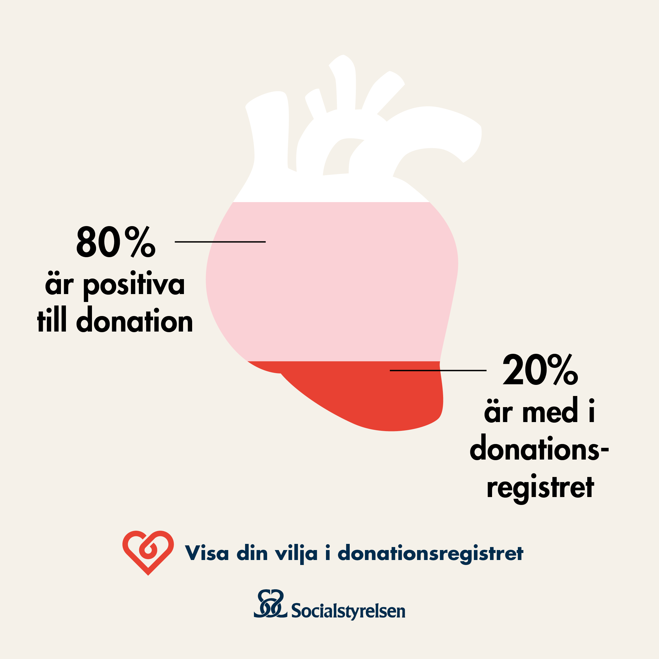 Infografik organdonation, 80 % är positiva till donation